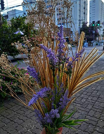 Aromaterapia em São Paulo